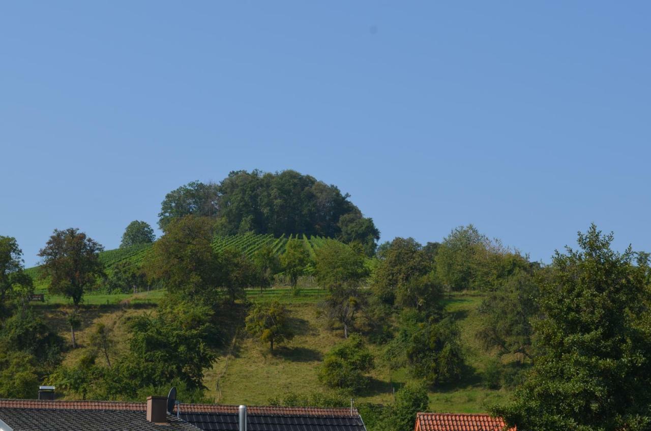 Haus Mone Apartment Bretzfeld ภายนอก รูปภาพ